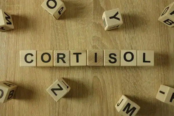The Hidden Connection: How Stress Shapes Your Fitness and Body Composition 2 Image saying "Cortisol" and how stress Earl Shilton impacts your wellbeing and bodies shape
